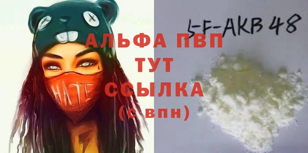 эйфоретик Касимов