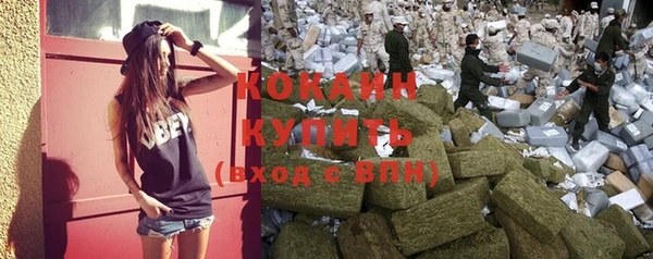 эйфоретик Касимов