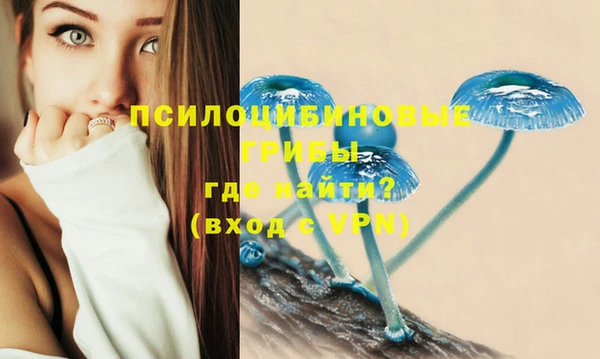 гидропоника Карталы