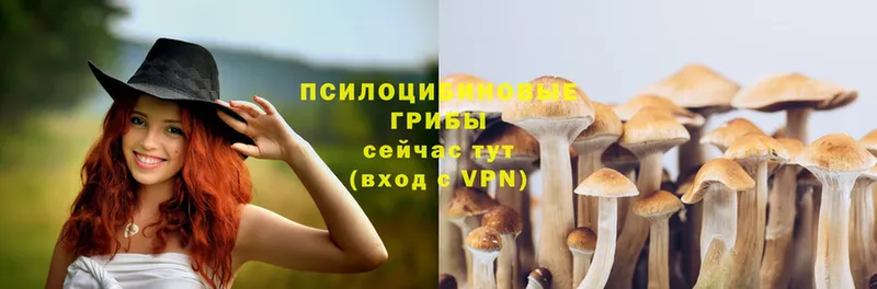 где купить наркоту  Железногорск  Галлюциногенные грибы MAGIC MUSHROOMS 