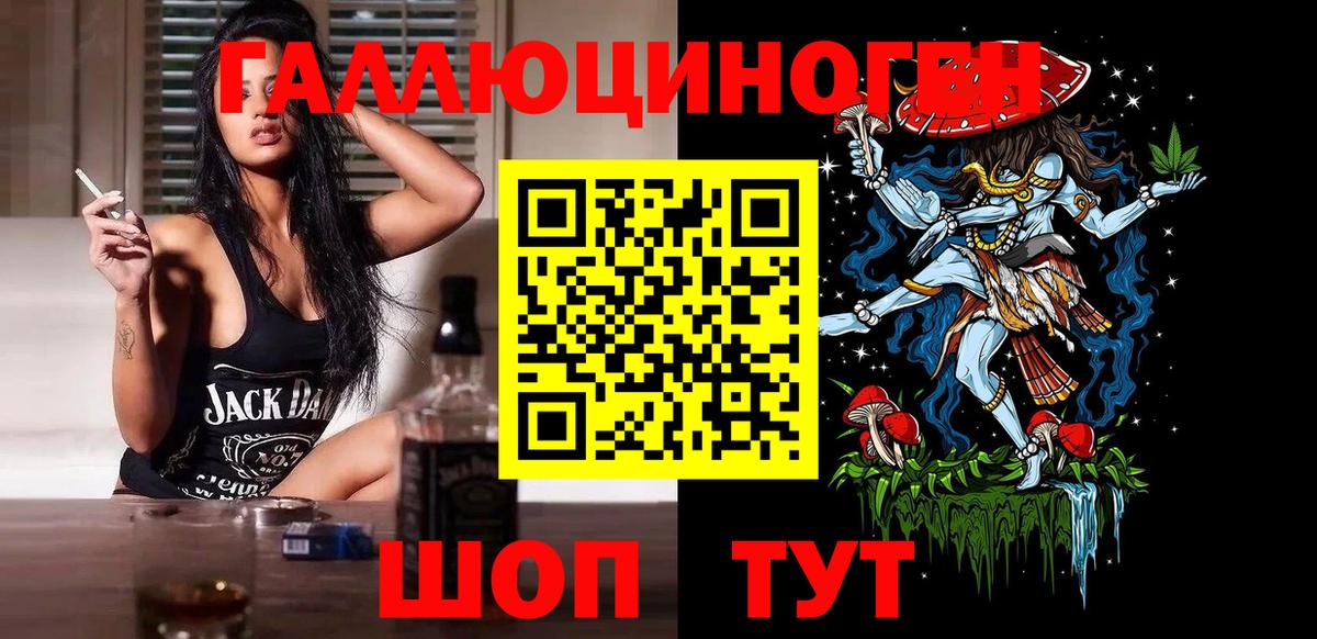 Железногорск  Галлюциногенные грибы Cubensis  Вход с VPN 